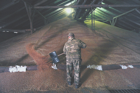 Russian farmers to get support through wheat purchases